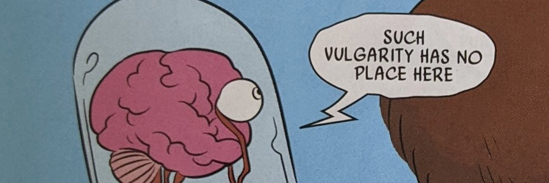 D 🐈 😺🐈‍⬛ banner