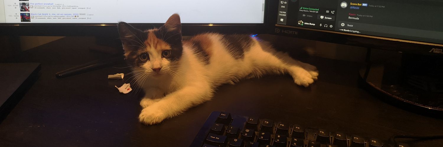 cats_pjs's profile banner image
