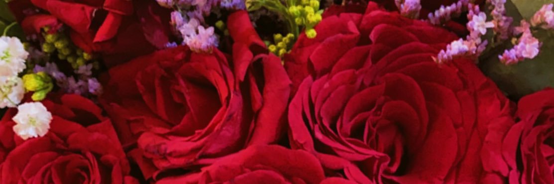 fof50048's profile banner image