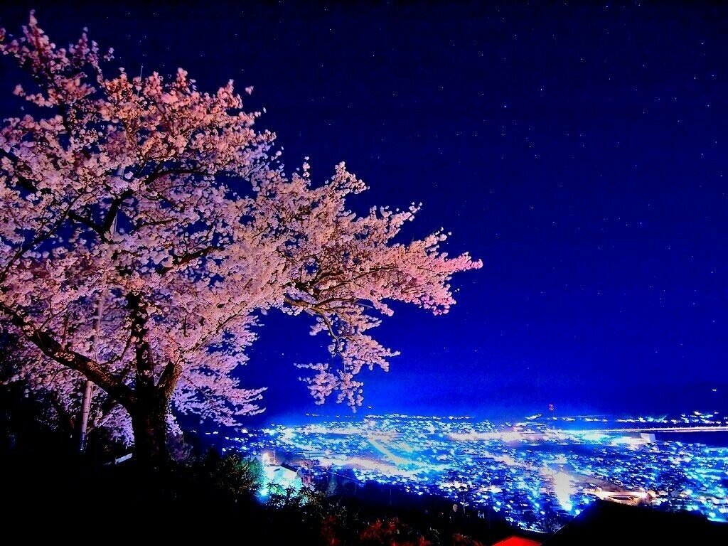 ttkikitt's profile banner image