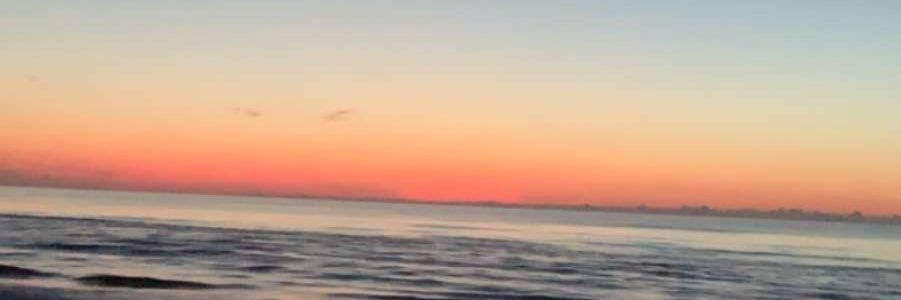 marykate banner