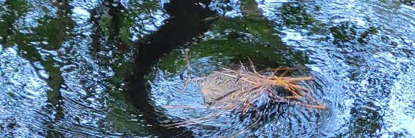 JuanDegalt Profile Banner