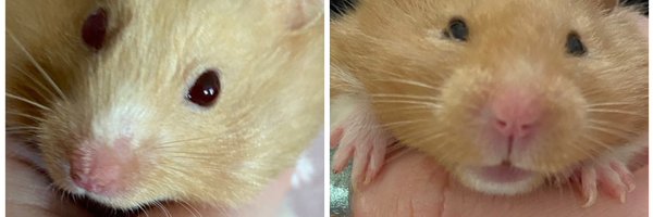 KathrynAnneTM Profile Banner