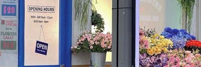 beaniebeet's profile banner image