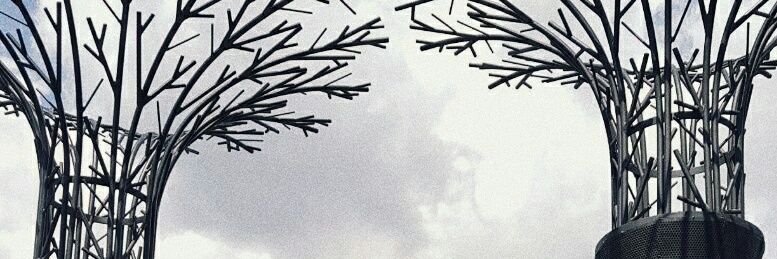 titaniafs's profile banner image