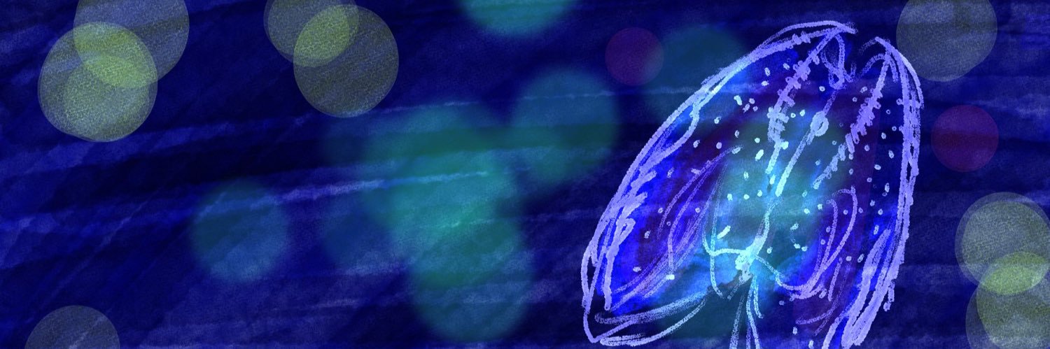 resorafu's profile banner image