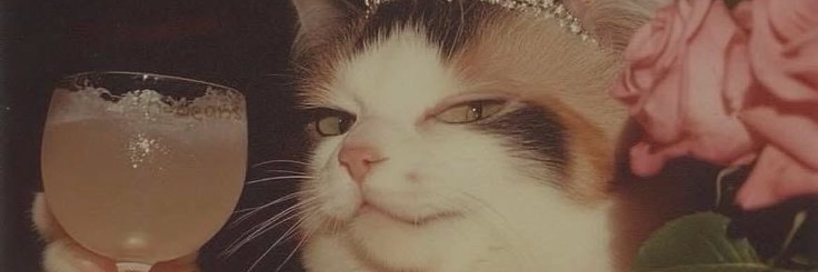 Haticezmn1's profile banner image