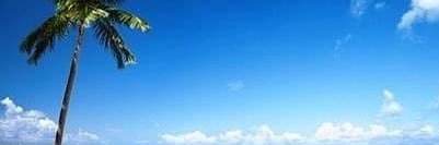 BarbraPortzline's profile banner image