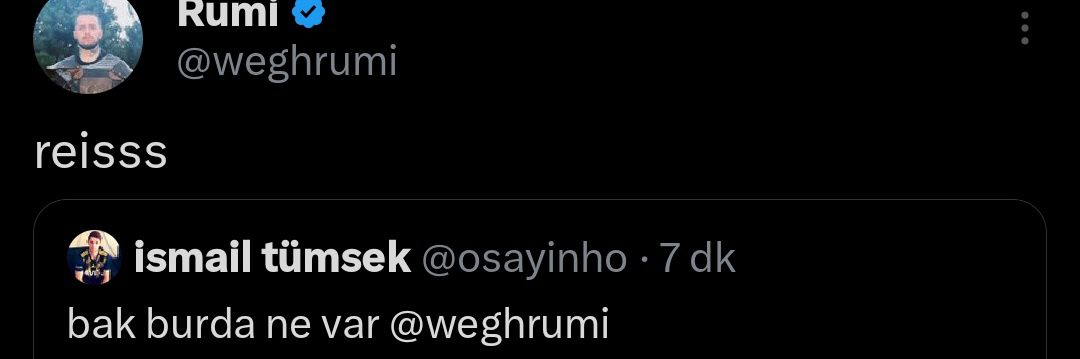 ismail tümsek banner