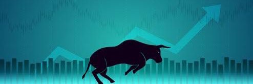 _Property_Bull's profile banner image