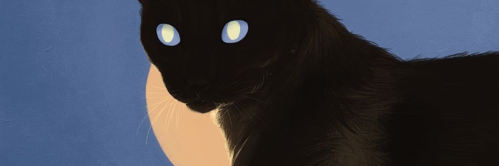 paipainho banner