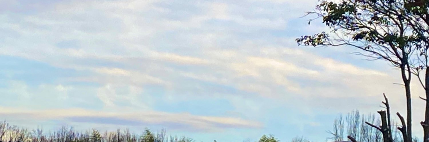 shiro_2983's profile banner image