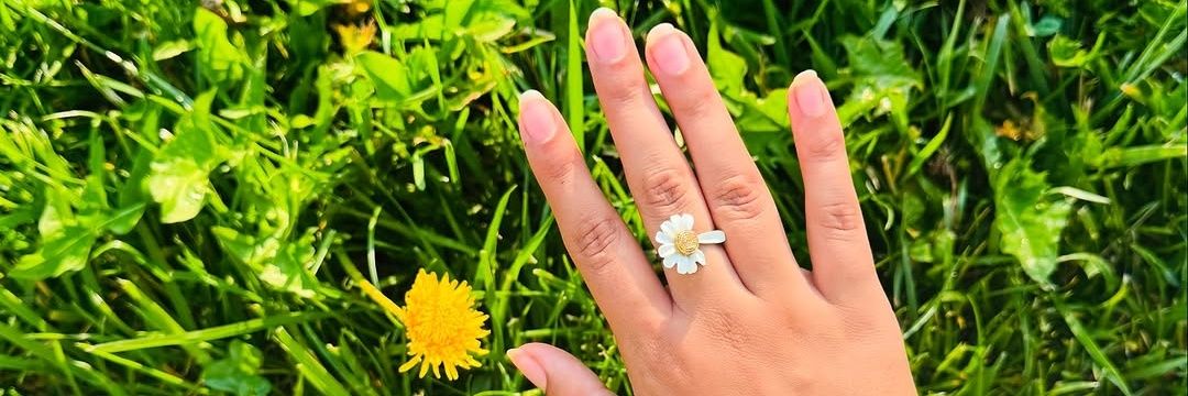 jenefier rose banner