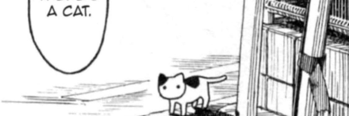 notstaruwu's profile banner image