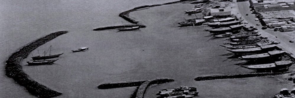 علويه هانم 𓋹 banner