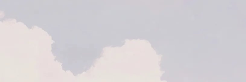 さゅ🐼 banner