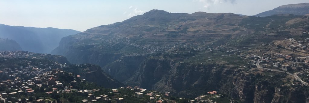 Thomas Cardaci banner