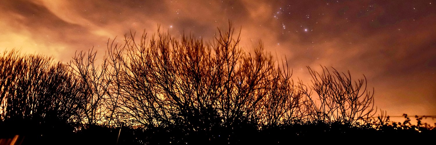 JL Permonthss de Bastida. banner