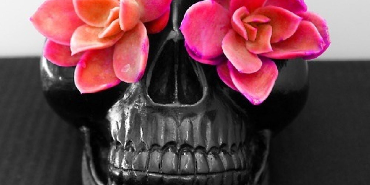 AMANDA XENOS banner