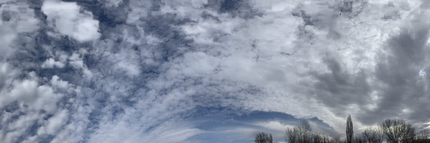 Floribrishani ✨ banner