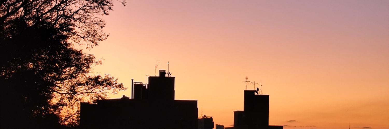 Varilene's profile banner image