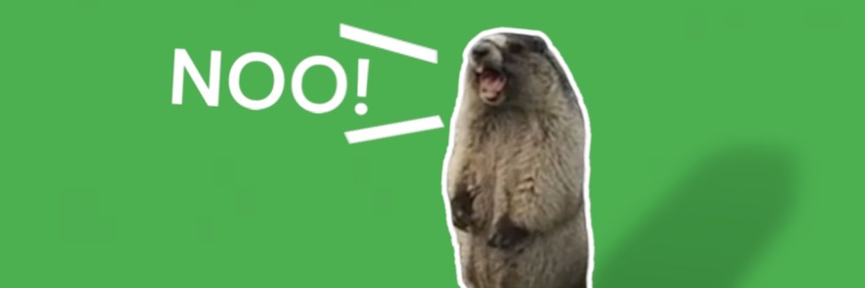 noocoinsol's profile banner image