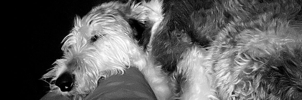 Ritch_u's profile banner image