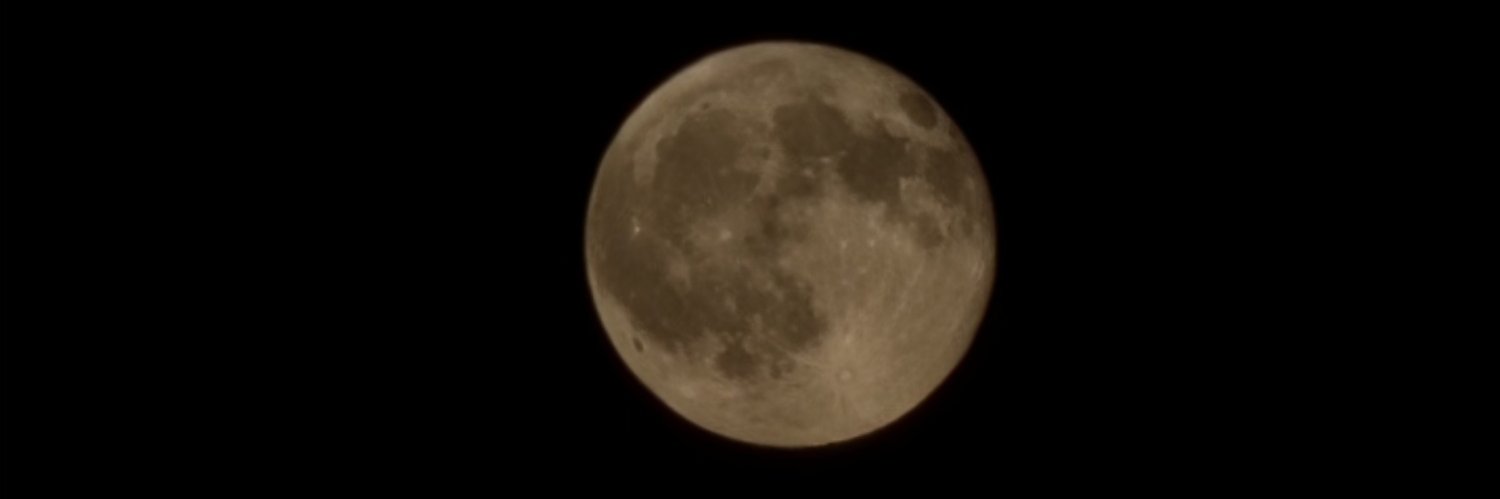 Mangellele's profile banner image