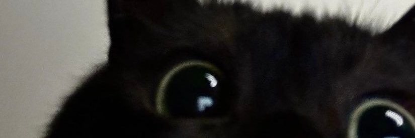 🐈‍⬛ banner