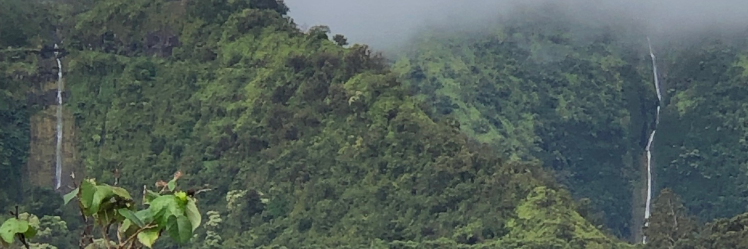erinthemoore's profile banner image