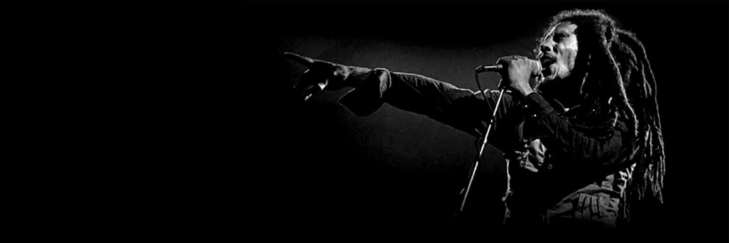 chiolinml's profile banner image