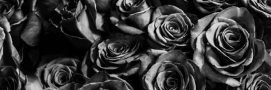 Lucine777's profile banner image