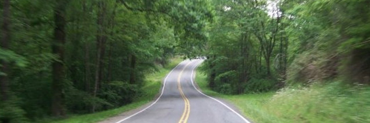 Chris Gallagher banner