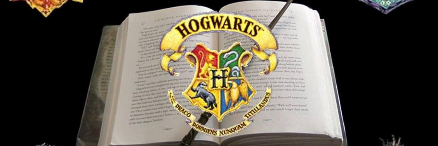 EmilyPegoraro's profile banner image