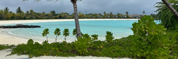 haniweiss Profile Banner