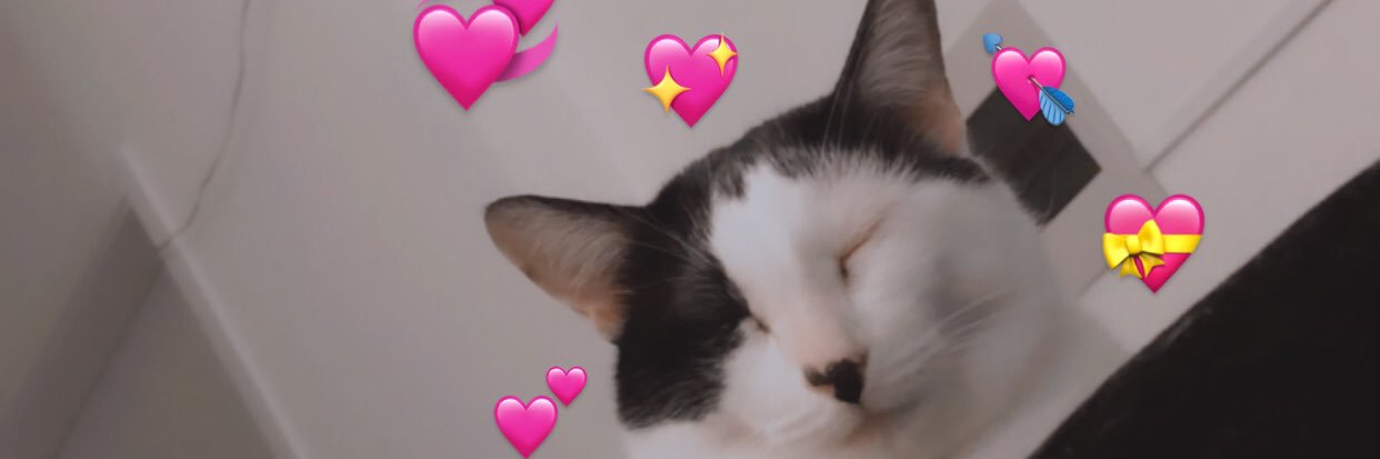 othiagoayres's profile banner image