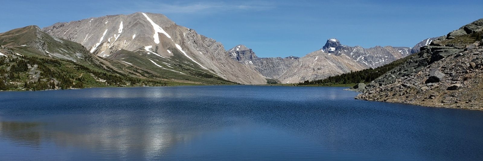labrat96's profile banner image