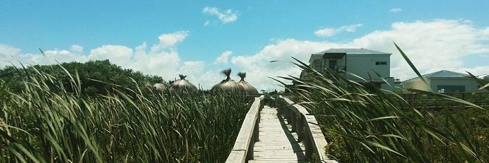 camipelufo's profile banner image