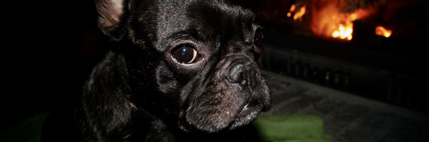 Ismael Galván González banner