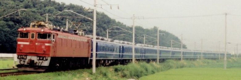 つばさ51号 banner