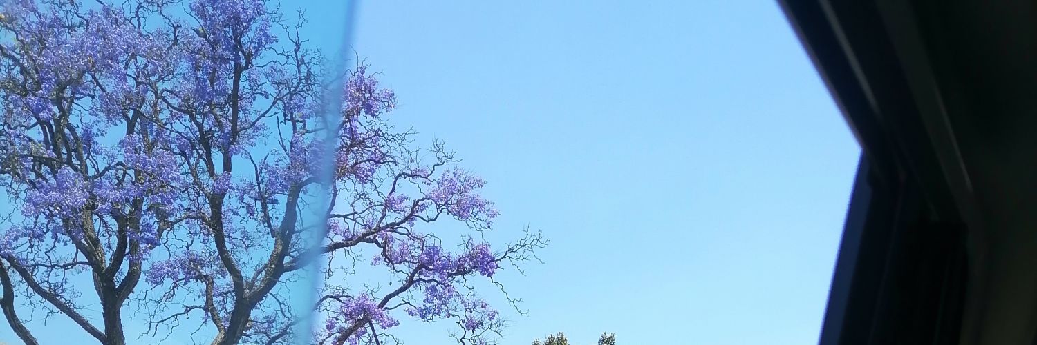 GLENMALEMA's profile banner image