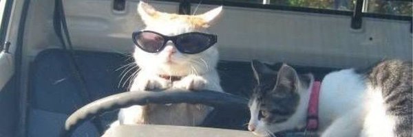 mmishel681 Profile Banner