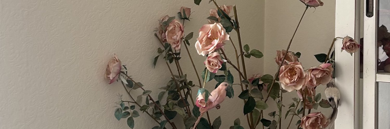 אנוש banner