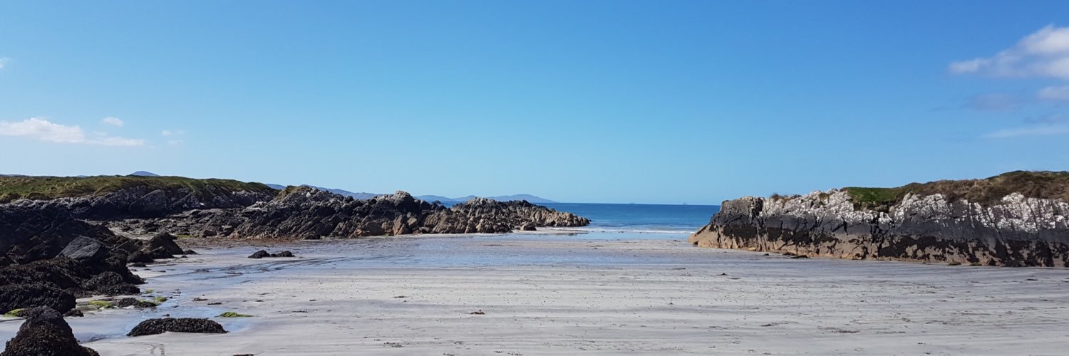 Michelle Breen, SALAI banner