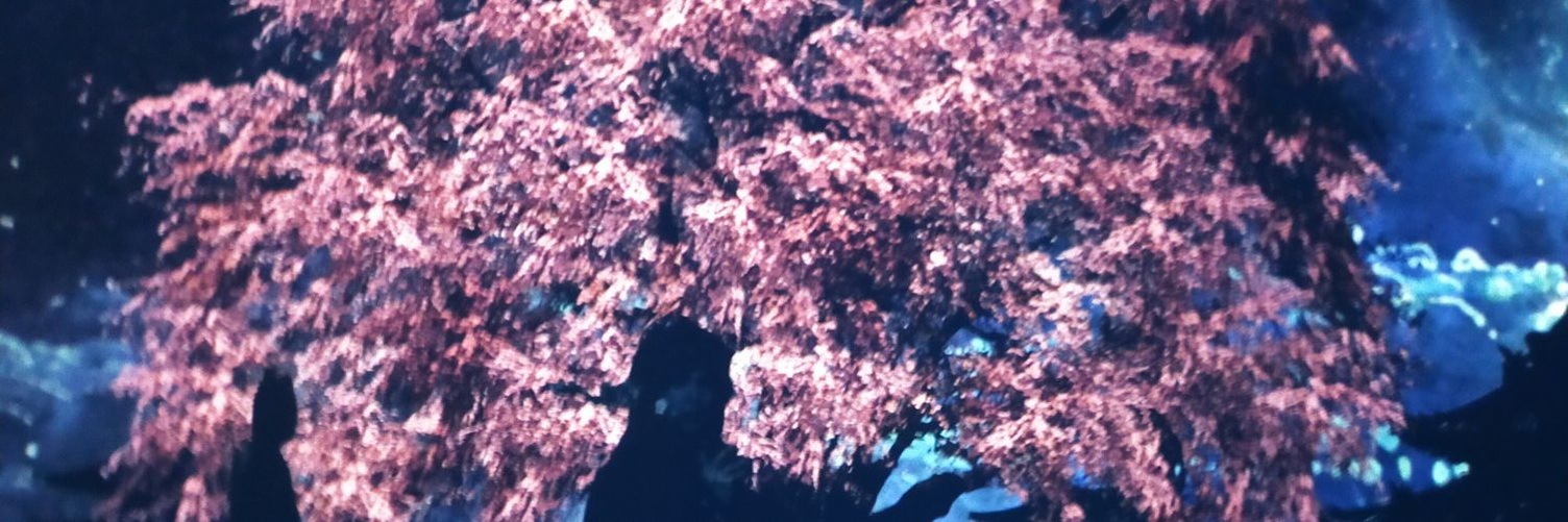 SAGLIKCI01's profile banner image