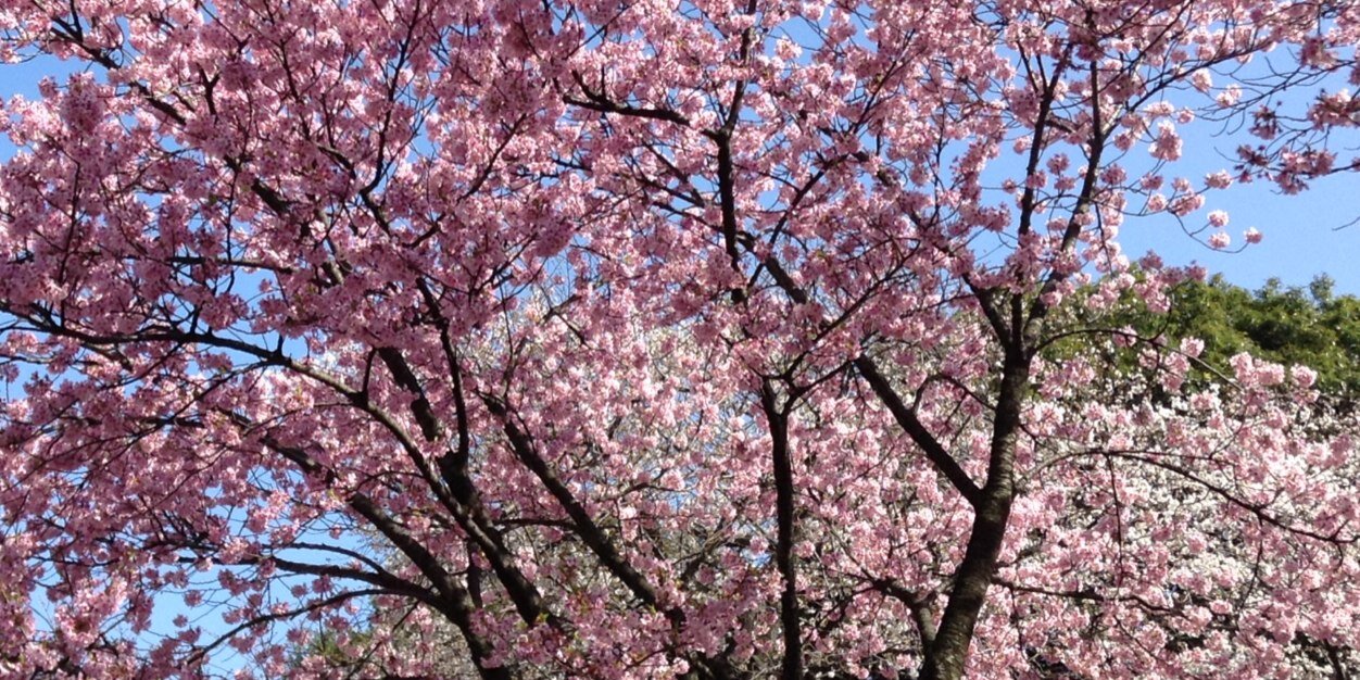muu3127's profile banner image