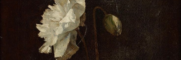 𝔪𝔞𝔤𝔫𝔲𝔰 ♕♕🍉 banner