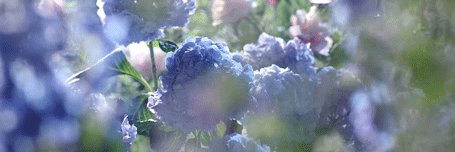 dirgni321's profile banner image