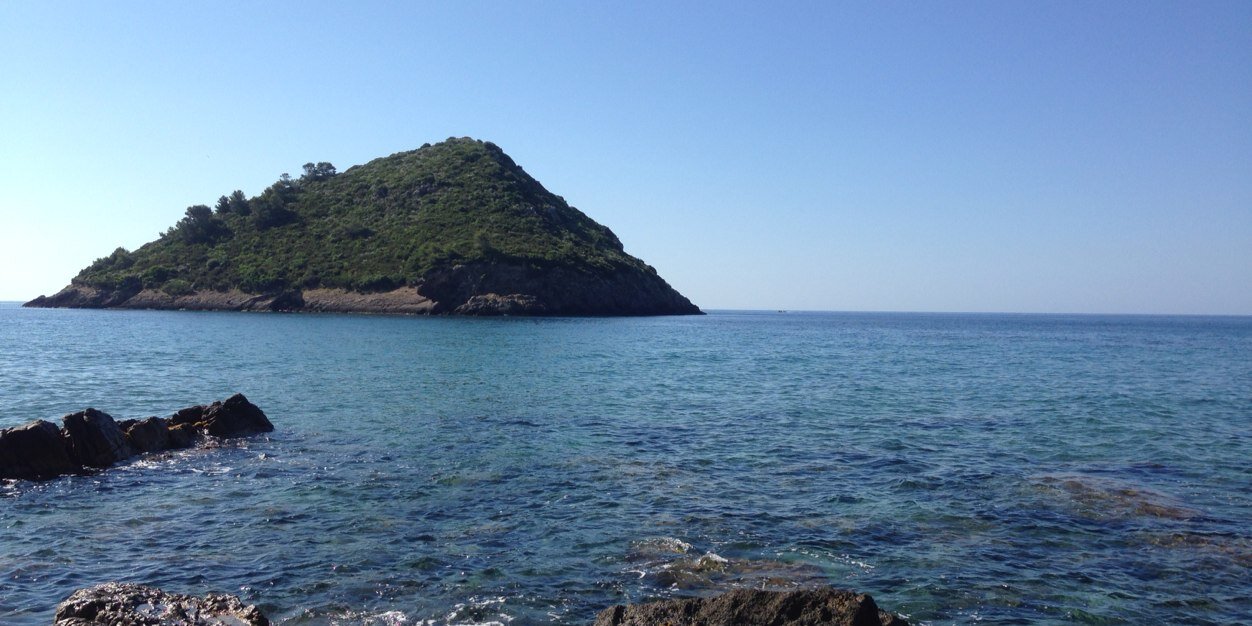 roberto_bonomo's profile banner image
