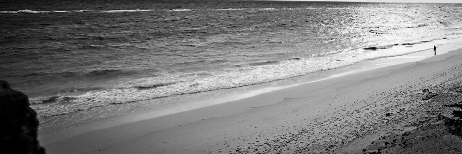 rwhiting's profile banner image